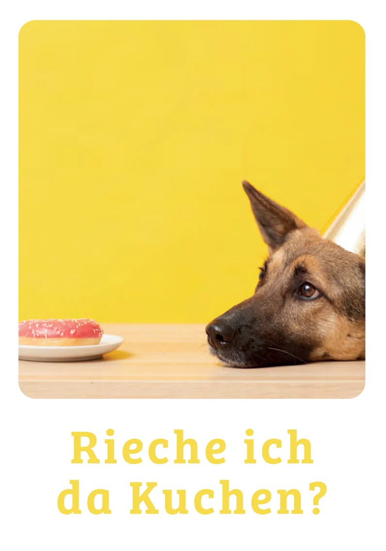 Rieche ich da Kuchen Postkarte